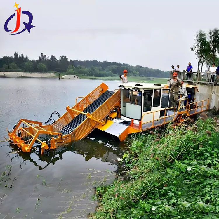 Hiasint En Eendekroos Snyboot